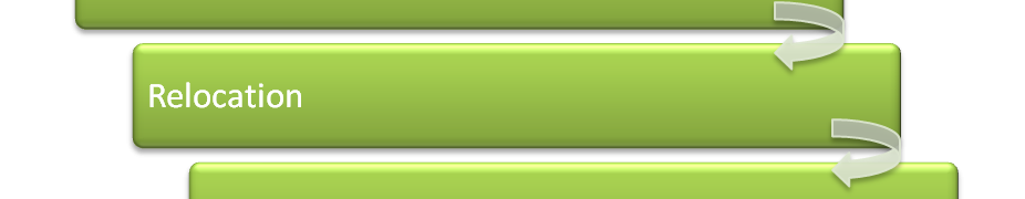 International Assignment Stages2
